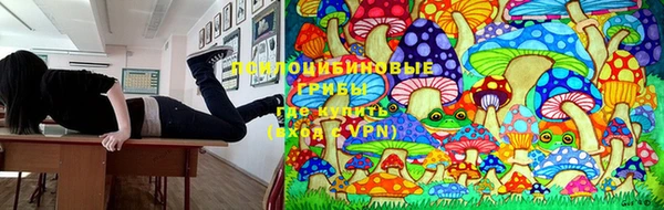 ГАЛЛЮЦИНОГЕННЫЕ ГРИБЫ Нефтегорск