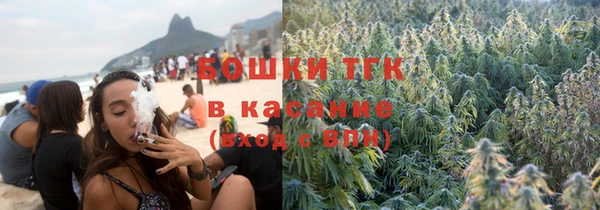 сатива Надым