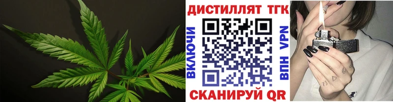 Дистиллят ТГК Wax  Зима 