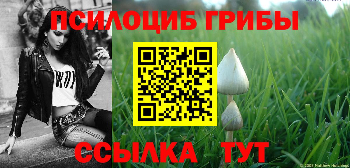 Псилоцибиновые грибы MAGIC MUSHROOMS  Галлюциногенные грибы Magic Shrooms  хочу   Зима 