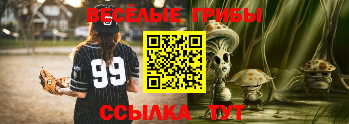 Галлюциногенные грибы MAGIC MUSHROOMS Зима